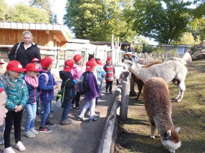 Foto des Albums: Ausflug zum Tierpark Nordhorn 2019