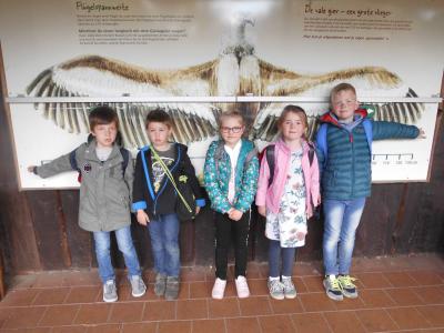 Foto des Albums: Ausflug zum Tierpark Nordhorn 2019