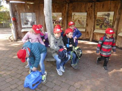 Foto des Albums: Ausflug zum Tierpark Nordhorn 2019
