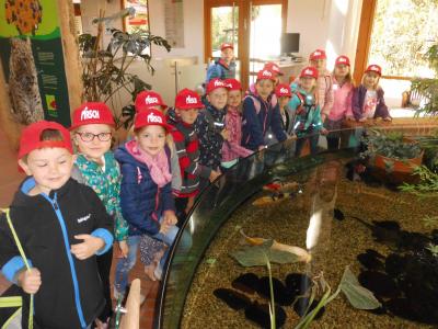 Foto des Albums: Ausflug zum Tierpark Nordhorn 2019
