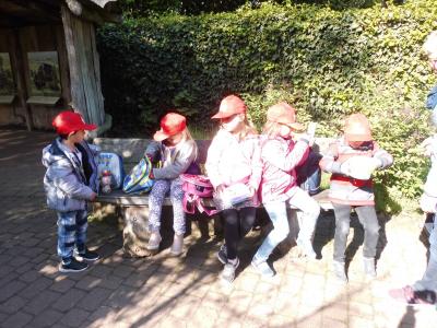Foto des Albums: Ausflug zum Tierpark Nordhorn 2019