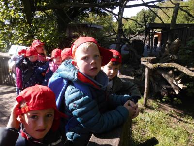 Foto des Albums: Ausflug zum Tierpark Nordhorn 2019