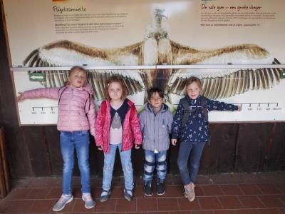Foto des Albums: Ausflug zum Tierpark Nordhorn 2019