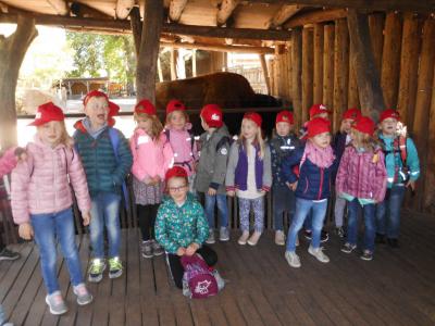 Foto des Albums: Ausflug zum Tierpark Nordhorn 2019