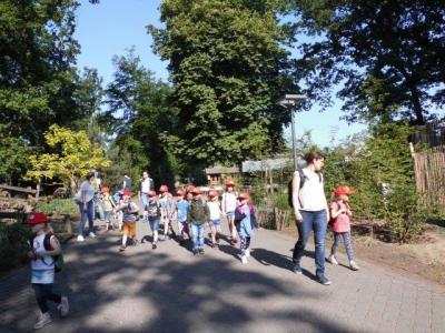 Foto des Albums: Ausflug zum Tierpark Nordhorn 2018