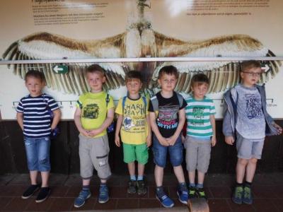 Foto des Albums: Ausflug zum Tierpark Nordhorn 2018