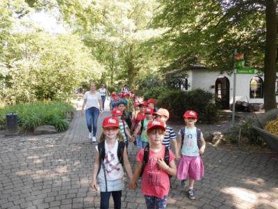 Foto des Albums: Ausflug zum Tierpark Nordhorn 2018
