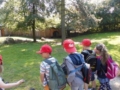 Foto des Albums: Ausflug zum Tierpark Nordhorn 2018