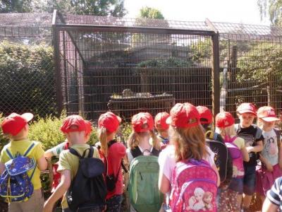 Foto des Albums: Ausflug zum Tierpark Nordhorn 2018