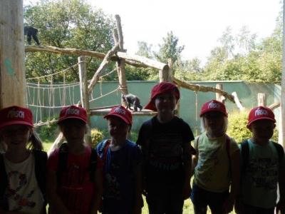 Foto des Albums: Ausflug zum Tierpark Nordhorn 2018