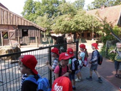 Foto des Albums: Ausflug zum Tierpark Nordhorn 2018