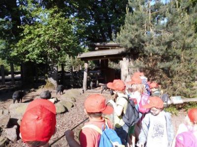 Foto des Albums: Ausflug zum Tierpark Nordhorn 2018