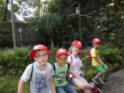 Foto des Albums: Ausflug zum Tierpark Nordhorn 2018