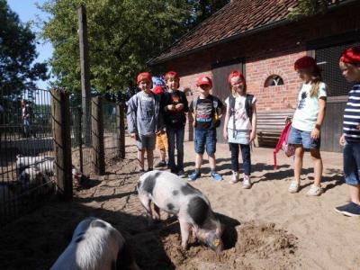 Foto des Albums: Ausflug zum Tierpark Nordhorn 2018
