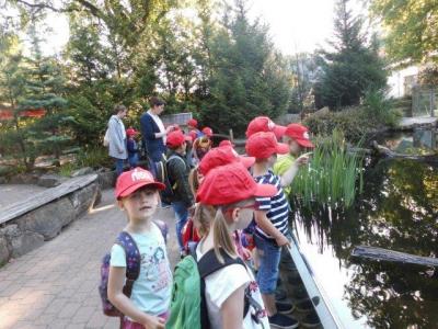 Foto des Albums: Ausflug zum Tierpark Nordhorn 2018