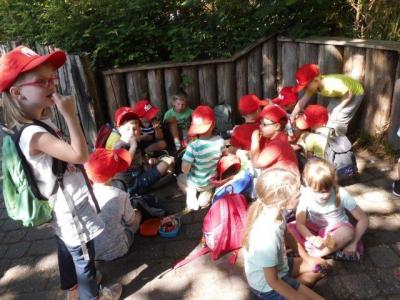 Foto des Albums: Ausflug zum Tierpark Nordhorn 2018