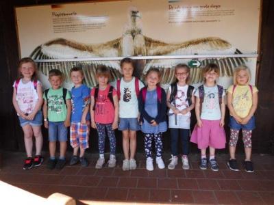 Foto des Albums: Ausflug zum Tierpark Nordhorn 2018