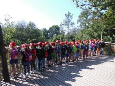 Foto des Albums: Ausflug zum Tierpark Nordhorn 2018