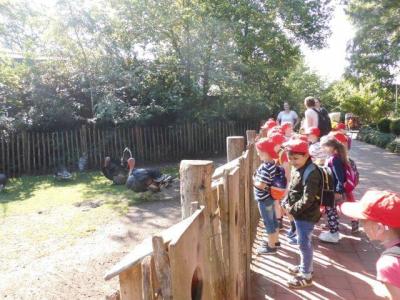 Foto des Albums: Ausflug zum Tierpark Nordhorn 2018