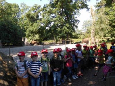 Foto des Albums: Ausflug zum Tierpark Nordhorn 2018