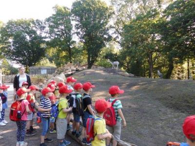 Foto des Albums: Ausflug zum Tierpark Nordhorn 2018