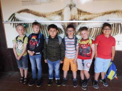 Foto des Albums: Ausflug zum Tierpark Nordhorn 2018