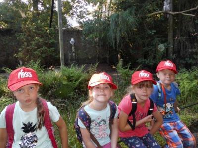Foto des Albums: Ausflug zum Tierpark Nordhorn 2018