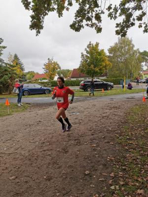 Foto des Albums: Ueckermünder Herbstcross