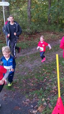 Foto des Albums: Ueckermünder Herbstcross