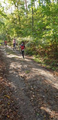Foto des Albums: Ueckermünder Herbstcross