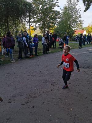 Foto des Albums: Ueckermünder Herbstcross