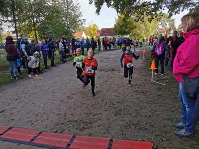 Foto des Albums: Ueckermünder Herbstcross