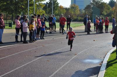 Foto des Albums: Schwedter Herbstlauf