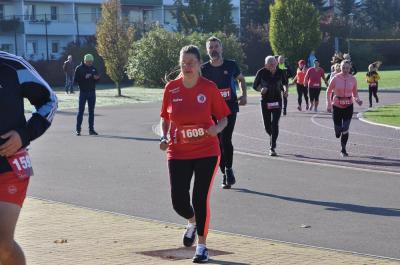Foto des Albums: Schwedter Herbstlauf