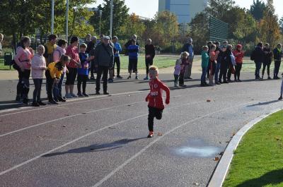 Foto des Albums: Schwedter Herbstlauf