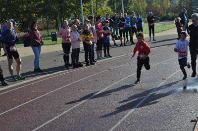 Foto des Albums: Schwedter Herbstlauf