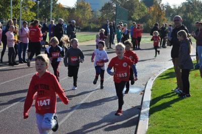 Foto des Albums: Schwedter Herbstlauf