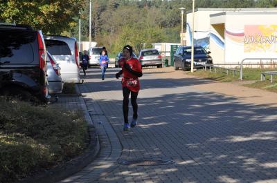 Foto des Albums: Schwedter Herbstlauf