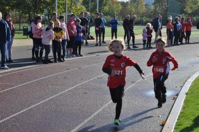 Foto des Albums: Schwedter Herbstlauf