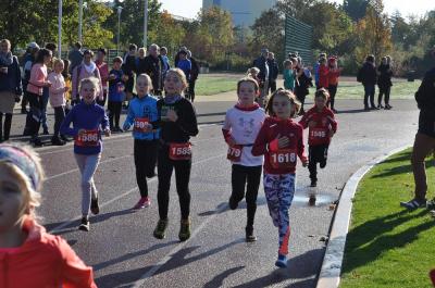 Foto des Albums: Schwedter Herbstlauf