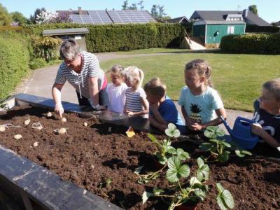 Foto des Albums: Schulclub-Hochbeet