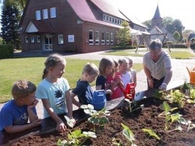 Foto des Albums: Schulclub-Hochbeet