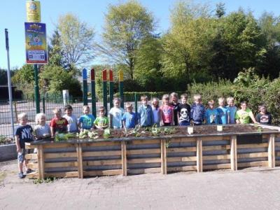 Foto des Albums: Schulclub-Hochbeet