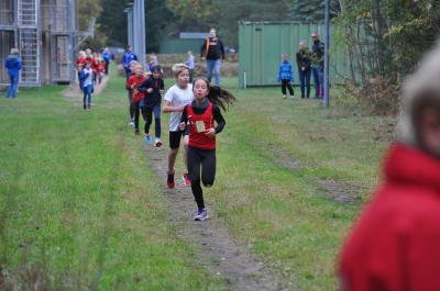 Foto des Albums: Karpiner Herbstcross