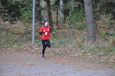 Foto des Albums: Karpiner Herbstcross