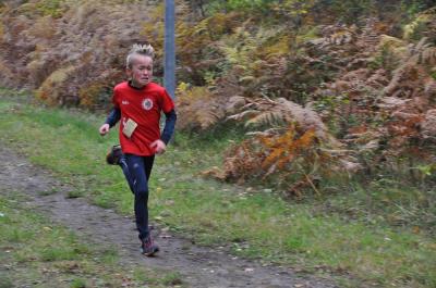 Foto des Albums: Karpiner Herbstcross