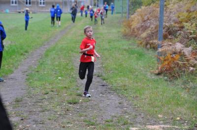 Foto des Albums: Karpiner Herbstcross