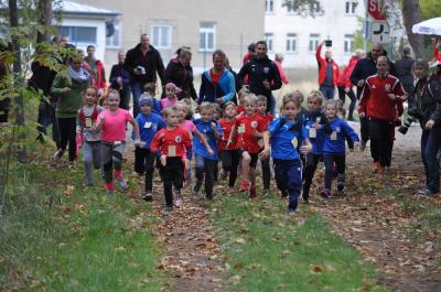 Foto des Albums: Karpiner Herbstcross