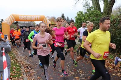 Foto des Albums: Schönower Herbstcross