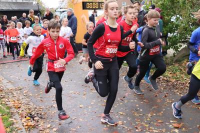 Foto des Albums: Schönower Herbstcross